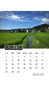 5月カレンダー(吉田撮影)