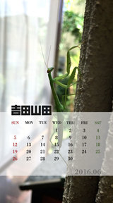 6月カレンダー(吉田撮影)